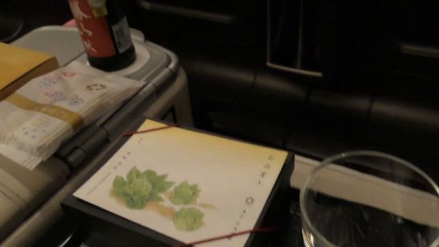 Japan's fastest bullet train's First Class!! Hokkaido → Tokyo смотреть онлайн