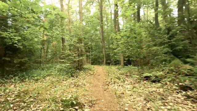 Круг для профи п. Переславское смотреть онлайн