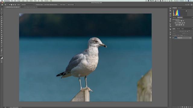 2 NEW Things in PHOTOSHOP 2020 смотреть онлайн