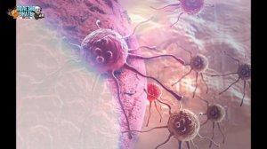 ВРЕДНЫЕ АРОМАТИЗАТОРЫ В АВТО: ОПАСНОСТИ «ЕЛОЧКИ» И ПРОЧИХ ОСВЕЖИТЕЛЕЙ