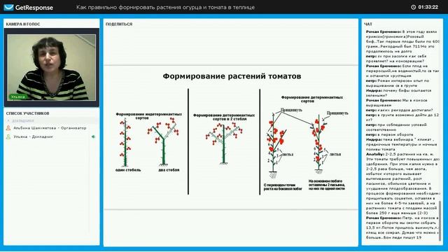 Характеристика томата Силуэт смотреть онлайн
