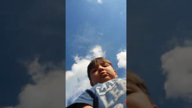 Тигр за рулём смотреть онлайн