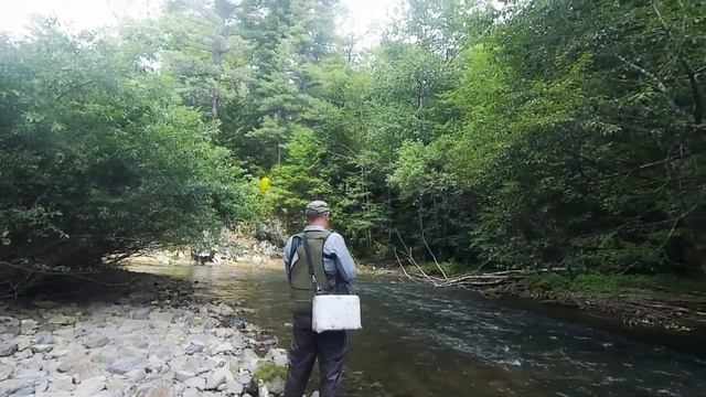 Хариус и ленок в начале августа 2021. Безводье и жара продолжаются. Жарёха, обдир и уха!