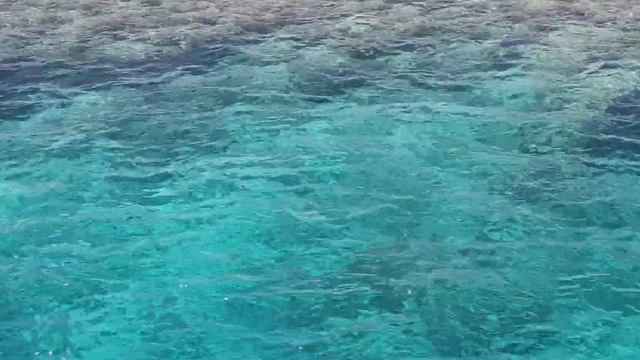 Прозрачная вода рифа Наполеон, Дахаб, Синай, Египет, Красное Море. смотреть онлайн