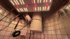 Гроубокс под одно растение до 120 см. Контроллер температуры и влажности