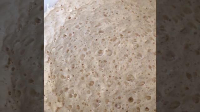 Брожение опары для хлеба. смотреть онлайн