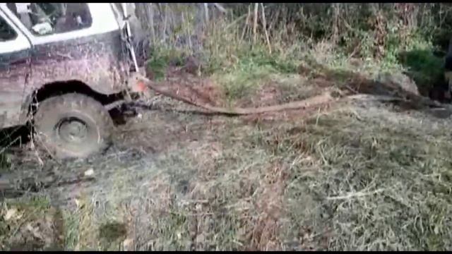 Медвежуть 03 10 2020 смотреть онлайн