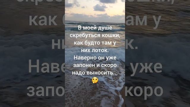 стишки пирожки смотреть онлайн