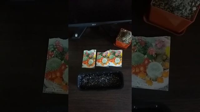 кактус из семян смотреть онлайн