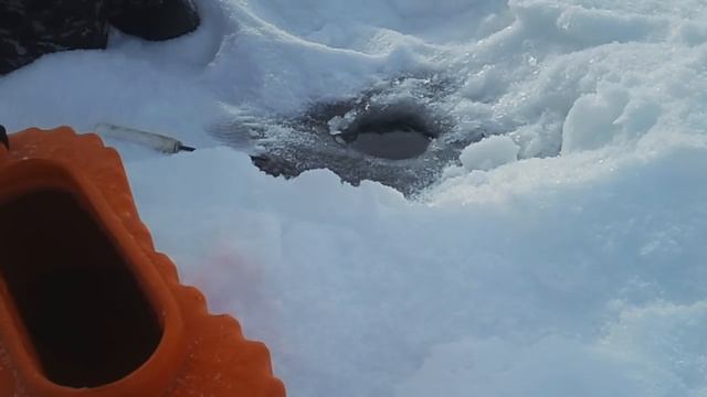 Рыбалка на Чудском озере! Раскопельская плотва смотреть онлайн