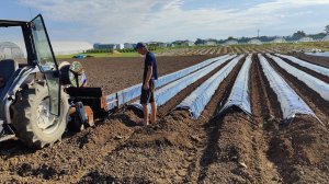 Делаем грядки для клубники