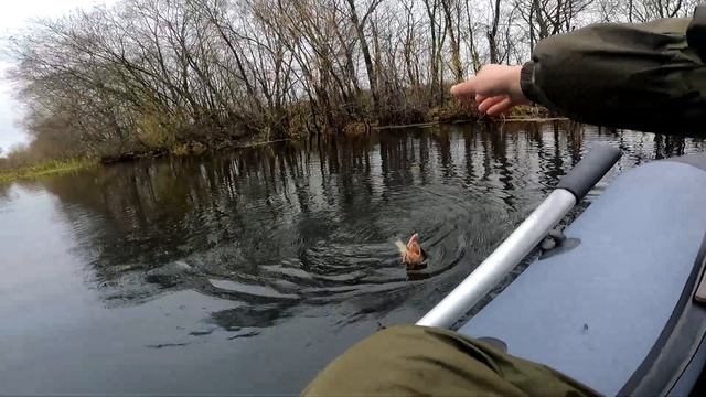 Попал на осенний жор щуки.Обновил рекорд.Рыбалка на реке Байгора смотреть онлайн