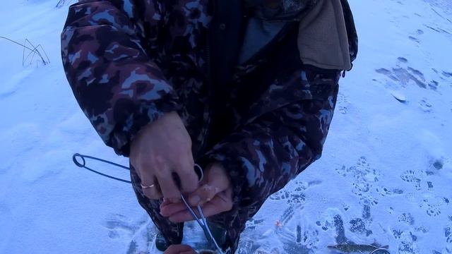 ПЕРВЫЙ ЛЕД РАЗДАЕТ!!!!!!РЫБАЛКА ПО ПЕРВОМУ ЛЬДУ!!! ПИВЧИКИ ИЗ ЩУКИ ПРОСТО СУПЕР!!! смотреть онлайн