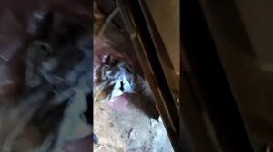 один не приятный момент при замене прередней наружней ручки двери ваз 2115