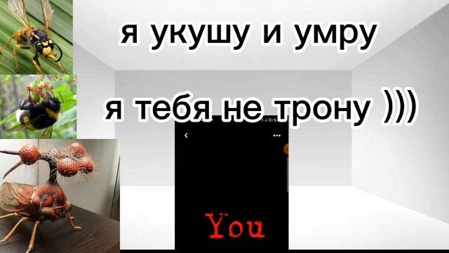 бразильская горбатка... смотреть онлайн