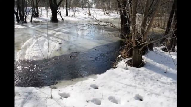 Ещё в полях белеет снег... смотреть онлайн
