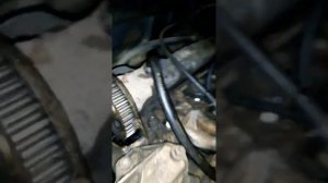 Как снять ремень грм на Пежо 405 1989г.в.