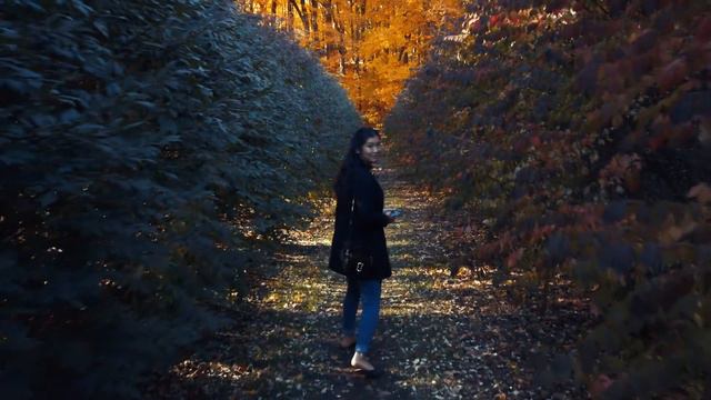University of Minnesota Arboretum смотреть онлайн
