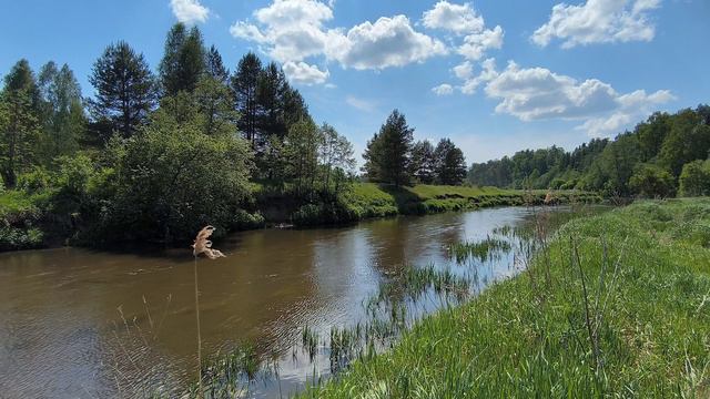 Река Уводь. ч.9. Июнь 2024 смотреть онлайн