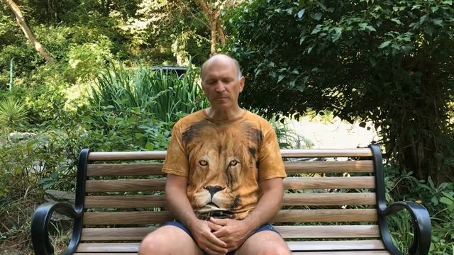 Уроки ведической астрологии: Какая астрология лучше - европейская или ведическая? смотреть онлайн