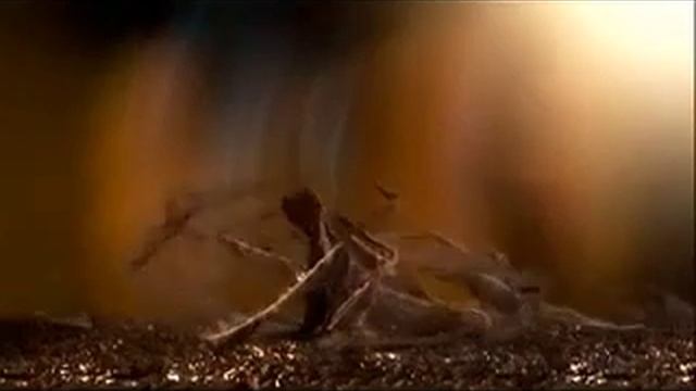 Черный шоколад "Корона". Таким должен быть смотреть онлайн