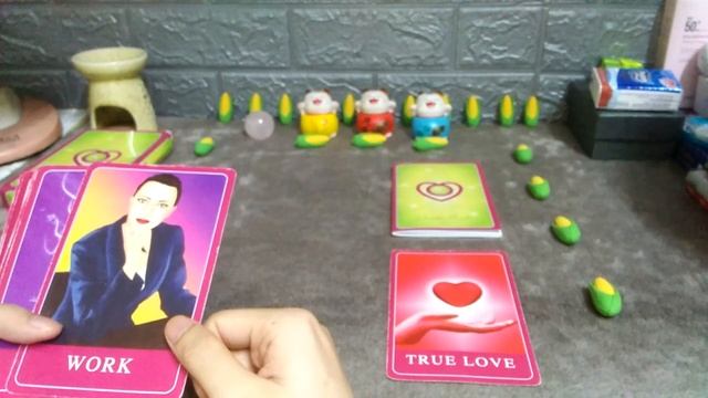? Đôi chút về bộ Amira's Love Oracle ? смотреть онлайн