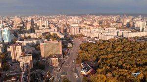 Аэросъемка. Березовая роща города Новосибирск