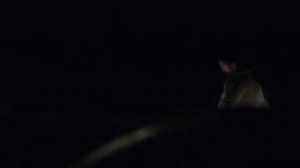 Жестокая расплата 2021 BDRip