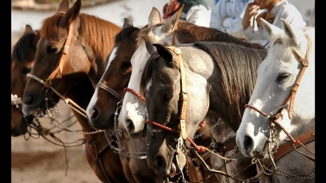 Aguascalientes, Mexico. Штат Аґуаскальєнтес, Мексика смотреть онлайн