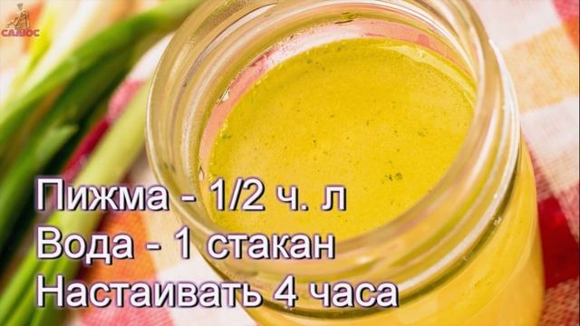 Лямблиоз лечение в домашних условиях ✅3 народных способа избавиться от лямблий