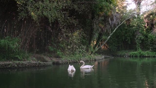 Tibetan Healing Flute - To relax and fall asleep смотреть онлайн