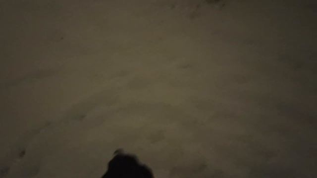 Вечерний моцион смотреть онлайн