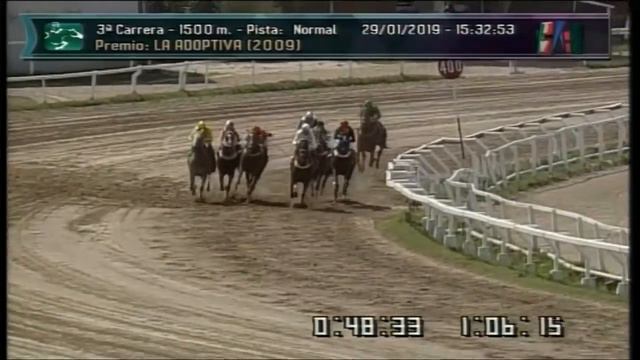 Carr.3 Premio: LA ADOPTIVA (2009) 29-01-2019 смотреть онлайн