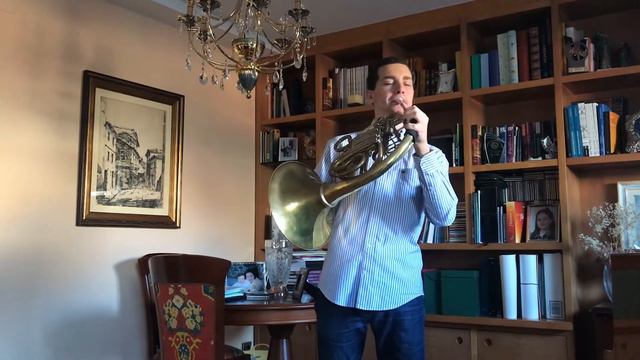Mozart:: Horn Concerto, K.417. First movement смотреть онлайн