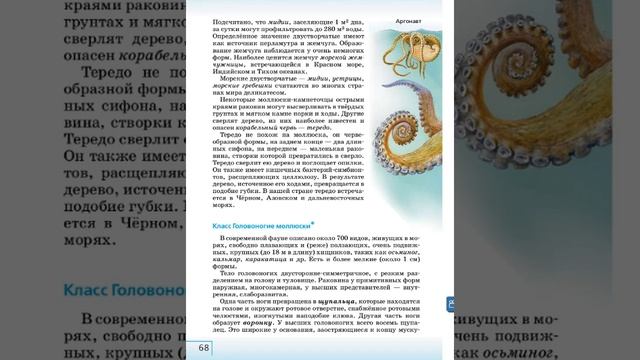 Биология 8к СТР-59 Тип Моллюски смотреть онлайн