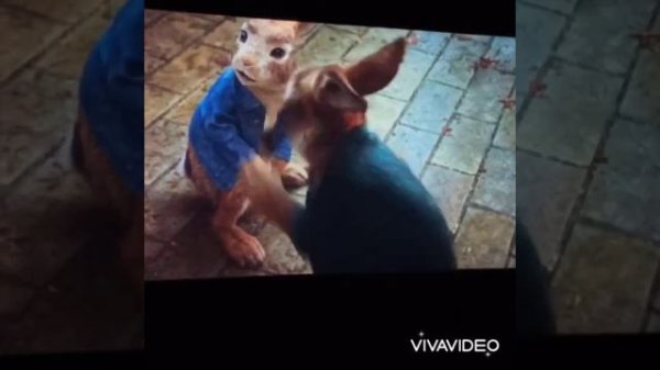 Кролик Питер 2