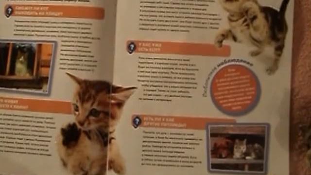 Обзор на "The Cat Collection" выпуск 2 смотреть онлайн
