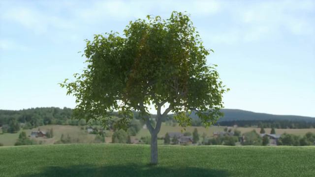 Полем Хлебным иду... смотреть онлайн