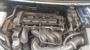 Стук в двигателе форд фокус 2 1.6