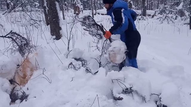 Первый выезд. Прокладываем новую дорогу смотреть онлайн