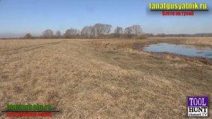 Электронный манок на гусиной охоте...разрешили?