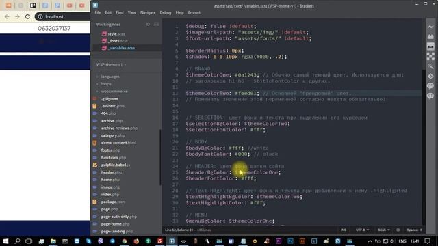 Обзор мастер-темы для WordPress (часть 2) смотреть онлайн