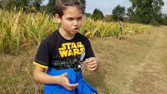 Тимур изучает интересный животный мир Италии смотреть онлайн