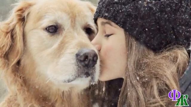 Михрютка 5. «О, чувствую запах незнакомки!» - Кот Миха принюхался к девушке и вдруг…