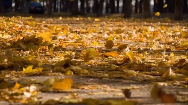 Осень смотреть онлайн