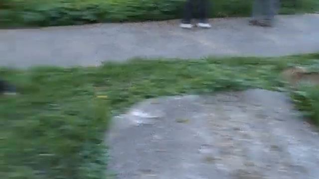 Кот и собака Cat and dog смотреть онлайн