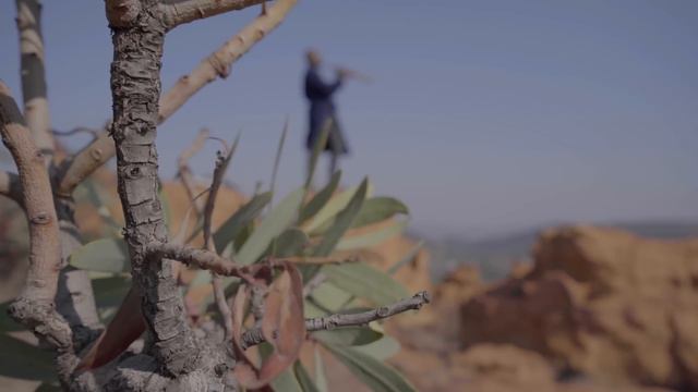 Osama by Zakes Bantwini & Kasango ft Bongane Sax (music video) saxrendition смотреть онлайн