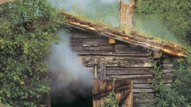 Михаил Евдокимов 