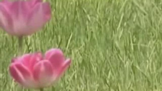 Имам Агзам Абу Ханифа (часть третья) смотреть онлайн