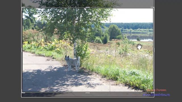 Кадрирование снимков в программе LightRoom смотреть онлайн